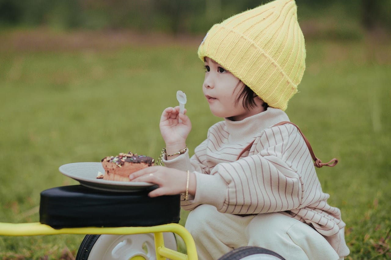Picnic