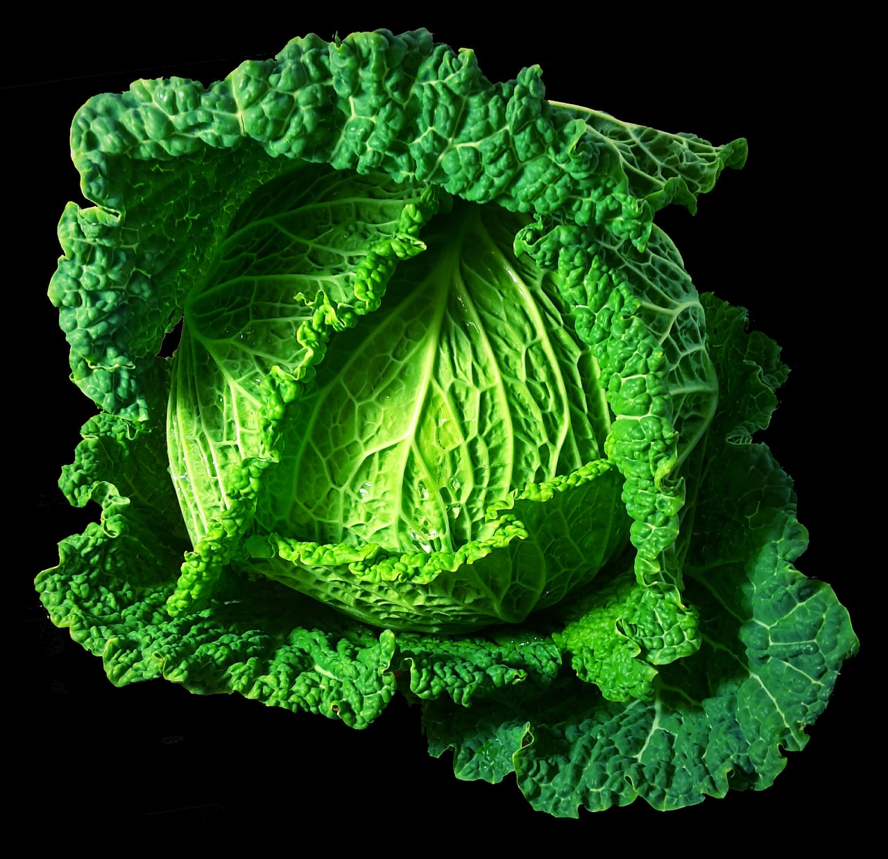 Ravintola Savoy